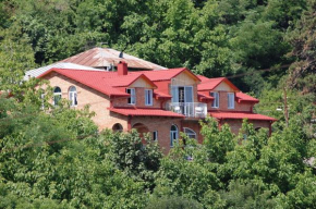  Zandarashvili Guest House  Сигнахи